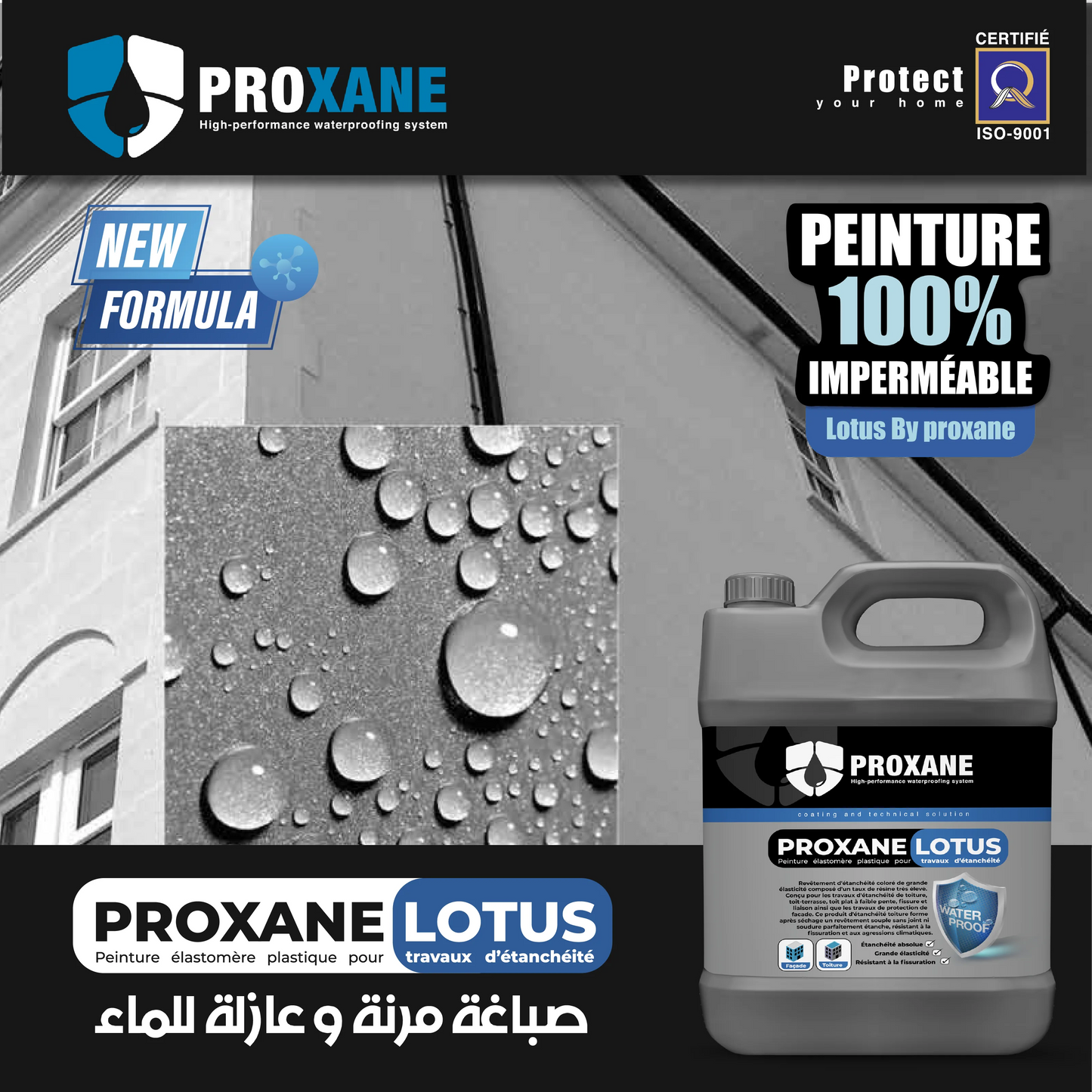 Peinture Proxane Lotus